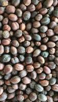 Top view of coffee beans, coffee bean pattern and coffee bean background. video