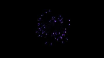 animação de fogos de artifício roxo com fundo transparente video