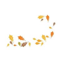 autumn Leaf background vector