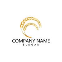 Agriculture wheat Logo vector