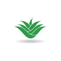 Aloe vera logo vector