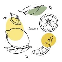 limón con hojas contorno colección de diseño de elementos dibujados a mano con manchas de color abstracto amarillo y verde. ilustraciones vectoriales de cítricos sobre fondo blanco. vector