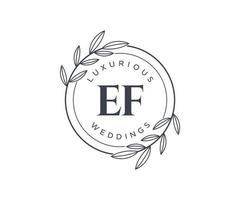 EF Initials letter Wedding monogram logos template, hand drawn modern minimalistic and floral templates for Invitation cards, Save the Date, elegant identity. vector