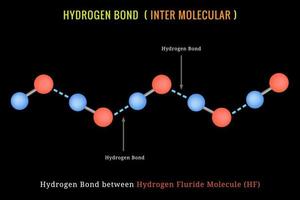 enlace de hidrógeno, enlace de hidrógeno intermolecular entre la molécula de fluoruro de hidrógeno vector