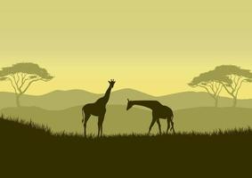 Giraffe silhouettes in savanna landscape vector illustration