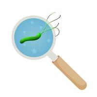 Green bacterium helicobacter pylori under magnifying glass. Vector illustration, cartoon style