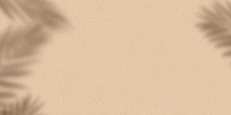 Sand texture background with palm leaves silhouette,Coconut leaf Shadow on Brown Sandy Beach,Vector top view Sand Surface,Backdrop background Wide Horizon Desert dune for Summer Product Presentation