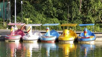 coloridos patos de botes a pedales en las atracciones laterales del lago. foto