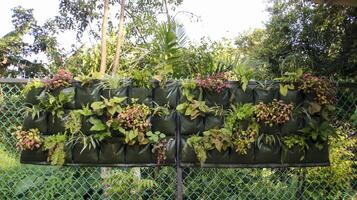 bolsa de jardín vertical o bolsa de macetero de pared para plantar en pared, valla o cualquier otra vertical. foto