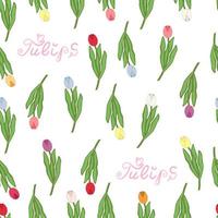 seamless pattern multicolored tulips vector