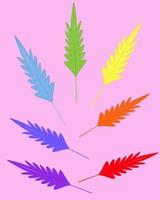 Multicolored feathers vector illustration, rainbow colors