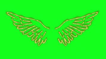 asas de neon tela verde vídeo grátis video