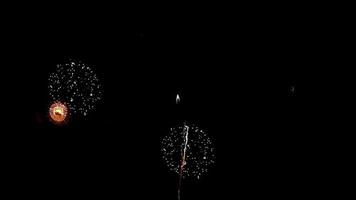 animação de loop de fogos de artifício em fundo preto. fantástico para sua comemoração video