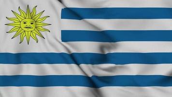 Animación de bucle sin interrupción de la bandera de uruguay. la bandera nacional de ecuador. video de fondo de superficie de tela de bandera 3d en excelente calidad