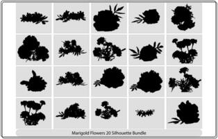 Isolated vector illustration. Branch of marigold flower Black and white silhouette.