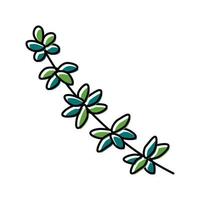 thyme branch color icon vector illustration