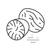 nutmeg nut line icon vector illustration