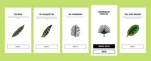 palm leaf summer plant green onboarding icons set vector