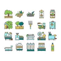 conjunto de iconos de producción y cosecha de aceitunas vector