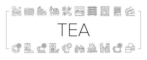 conjunto de iconos de colección de producción de bebidas de té vector