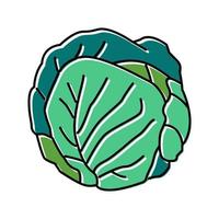 green cabbage color icon vector illustration