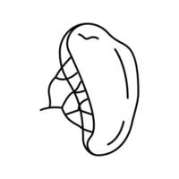 bazo órgano humano línea icono vector ilustración
