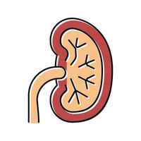 unhealthy kidney color icon vector illustration