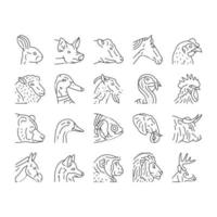 animal zoo nature wildlife icons set vector