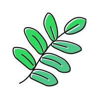 royal fern tropical leaf color icon vector illustration