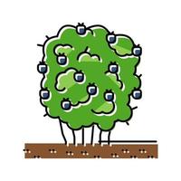 Ilustración de vector de icono de color de arbusto de mora verde