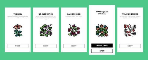 Vine Liana Exotic Growing Plant onboarding icons set vector