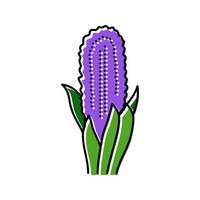 hyacinth flower spring color icon vector illustration