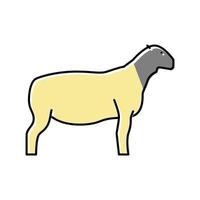 dorper sheep color icon vector illustration