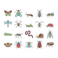 conjunto de iconos de vida silvestre de insectos, arañas y bichos vector