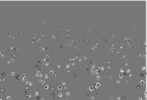 Light Silver, Gray vector layout with circle shapes.