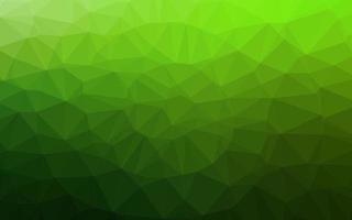 Light Green vector polygonal pattern.