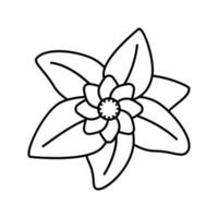 flor hoja línea icono vector ilustración