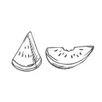 Doodle fresh Watermelon with two type of slice. Isolated on white vector