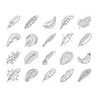 feather bird soft quil fluffy icons set vector