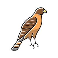 hawk bird color icon vector illustration