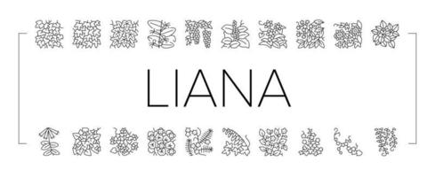 Vine Liana Exotic Growing Plant Icons Set Vector