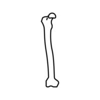 femur bone line icon vector illustration