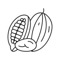 ilustración de vector de icono de línea de nuez de cacao