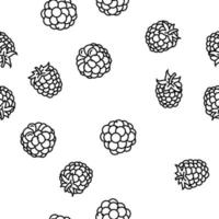 blackberry fruit berry black food vector seamless pattern