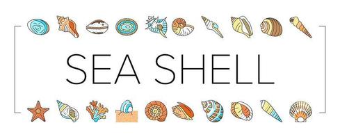 conjunto de iconos de océano de verano de playa de concha de mar vector