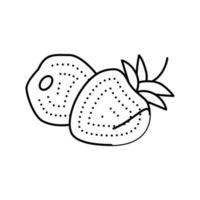 two strawberries line icon vector illustration