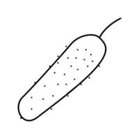 pepino vitamina vegetal línea icono vector ilustración