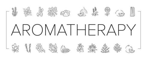 Aromatherapy Herbs Collection Icons Set Vector Illustration