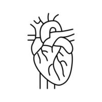 corazón órgano línea icono vector ilustración