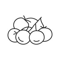 manojo tomate línea icono vector ilustración